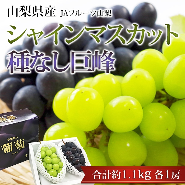 �֤ɤ� ���㥤��ޥ����å� ���� ��1.1kg ��1˼ �������� ����ľ���ڥޥ����å� ����ۤ� ��ƺ �֥ɥ� �ե롼�� ���ե� £�� �ץ쥼��� ��ˤ� �л��ˤ��ۡڻ�ľ�ץ�ߥ����