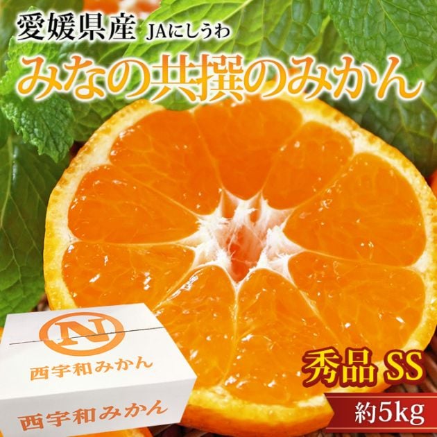 �ߤ��� �ߤʤζ����Τߤ��� ���� ��5kg ���� ��γ SS������ 70��80�� ��ɲ���� ����ľ��<br>��̪�� �ߥ��� ������ �ե롼�� ��ʪ ���ե� £�� �ץ쥼��� ��ˤ� Ȣ�������ۡڻ�ľ�ץ�ߥ����