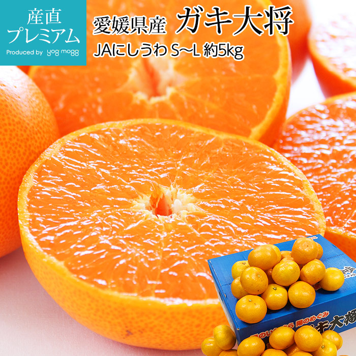 �ߤ��� �����羭 ���δݤߤ��� ��5kg S��L������ 40��60�� ��ɲ���� ����ľ����̪�� �ߥ��� ������ �ե롼�� ��ʪ ���ե� ������ �ץ쥼��� Ȣ�������ۡڻ�ľ�ץ�ߥ����