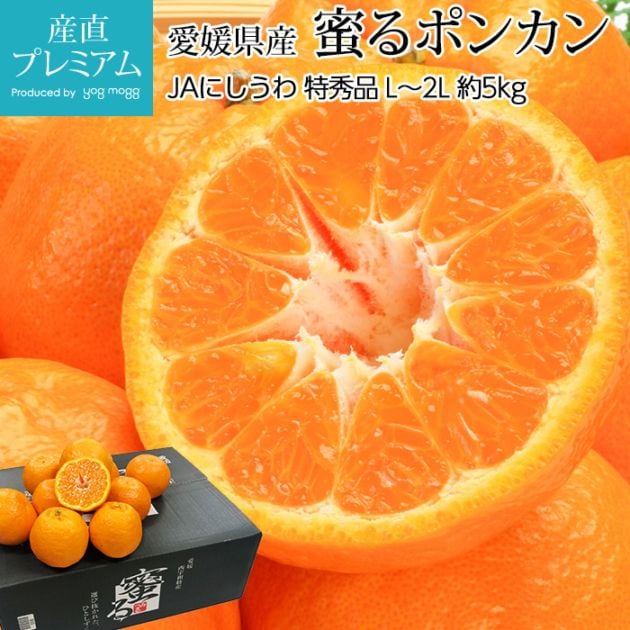 みかん ポンカン 蜜る 特秀品 約5kg L～2Lサイズ 28～40個 愛媛県産