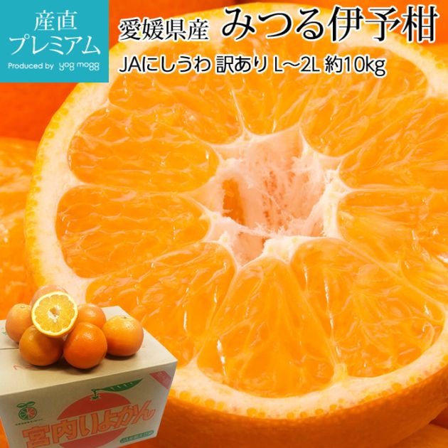 �ߤ��� ��ͽ�� �ߤĤ붦�� ������ ��10kg L��2L������ 36��42�� ��ɲ���� ����ľ��<br>��̪�� �ߥ��� ���褫�� ���襫�� ������ ������ �ե롼�� ��ʪ ���ե� ������ �ץ쥼��� ��ˤ� Ȣ�������ۡڻ�ľ�ץ�ߥ����