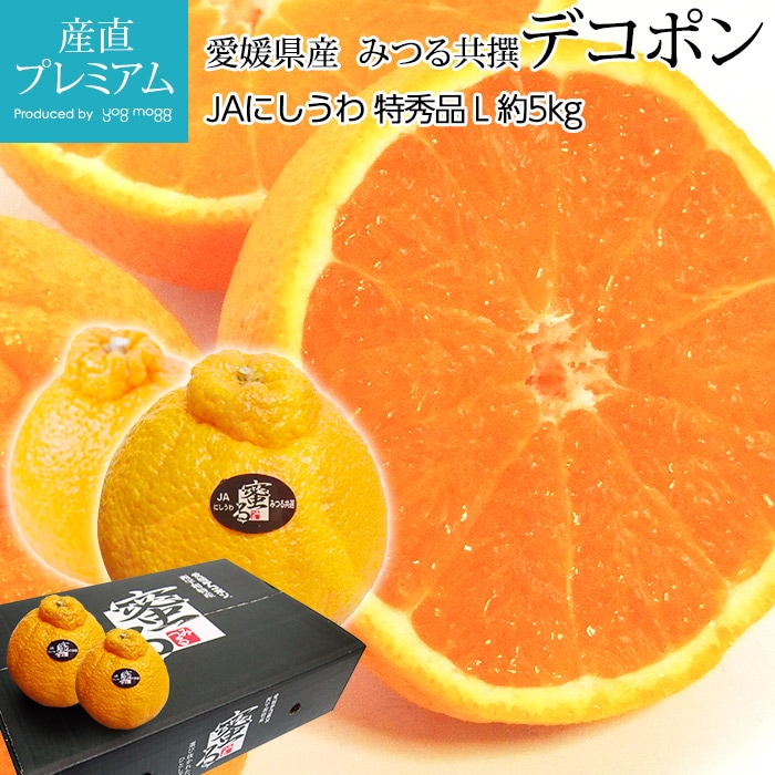 �ǥ��ݥ� �ý��� ��5kg L������ 24�� ��ɲ���� ̪�� ����14�ٰʾ� ����ľ��<br>�ڤߤ��� �ߥ��� ̪�� ���� �Ǥ��ݤ� ������ �ե롼�� ��ʪ ���ե� £�� �ץ쥼��� ��ˤ� ����12�ٰʾ� Ȣ�������ۡڻ�ľ�ץ�ߥ����