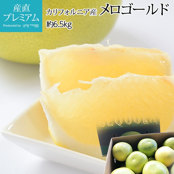 ���������� ��6.5kg 6��20�� ����ե���˥��� ����ꥫ�ڥ��졼�ץե롼�� ���������� ���� ������ �ե롼�� ��ʪ ���ե� £�� �ץ쥼��� ��ˤ��ۡڻ�ľ�ץ�ߥ����