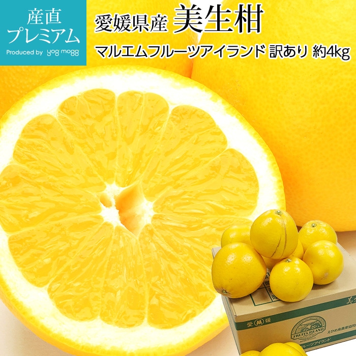 ������ �ߤ��礦���� ������ ��4kg 10��18�� ��ɲ����<br>��̪�� �ߥ��� �ߥ��祦���� ���졼�ץե롼�� ���졼�פդ롼�� ������ ������ �ե롼�� ��ʪ ���ե� ������ �ץ쥼��� Ȣ�������ۡڻ�ľ�ץ�ߥ����