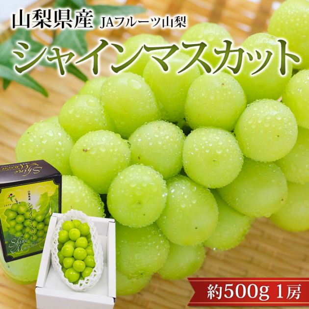�֤ɤ� ���㥤��ޥ����å� ��500g 1˼ �ϥ������� �������� ����ľ��<br>�ڥ֥ɥ� ��ƺ �ޥ����å� ������ �ե롼�� ��ʪ ���ե� £�� �ץ쥼��� ��ˤ� �л��ˤ��ۡڻ�ľ�ץ�ߥ����