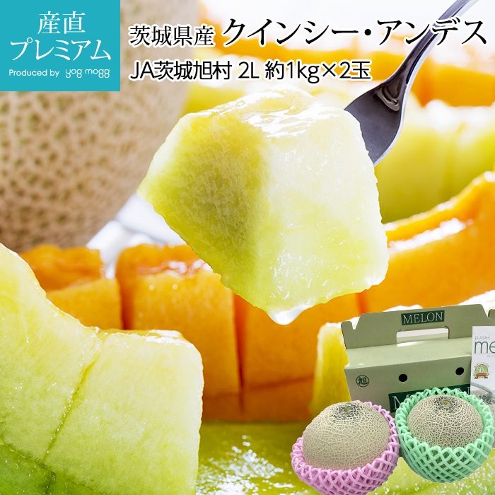 ����� �����󥷡������ ����ǥ������ ���륽������ 2L������ ��2kg ��1�� ���å� ��븩��<br>�ڤ���� ������ �ե롼�� ��ʪ ���ե� £�� �ץ쥼��� ��ˤ��ۡڻ�ľ�ץ�ߥ����