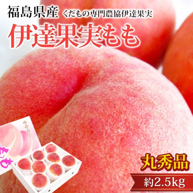 �� ��ã�̼¤�� �ݽ��� ��2.5kg 7��9�� ʡ�縩�� ����ľ���ڥ�� ��� ʡ�� ������ �ե롼�� ��ʪ ���ե� £�� �ץ쥼��� ��ˤ� �л��ˤ��ۡڻ�ľ�ץ�ߥ����