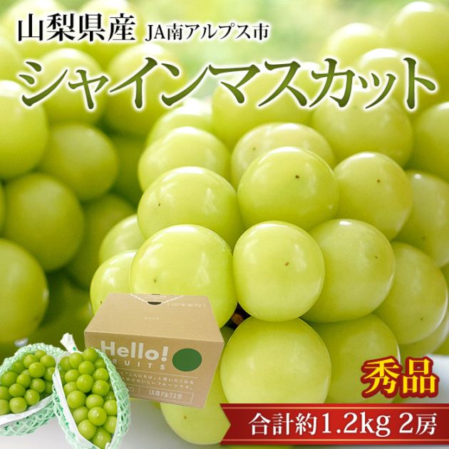 �֤ɤ� ���㥤��ޥ����å� ���� ��1.2kg 2˼ Ϫ�Ϻ��� ����ľ���ڥ֥ɥ� ��ƺ �ޥ����å� ������ �ե롼�� ��ʪ ���ե� £�� �ץ쥼��� ��ˤ��ۡڻ�ľ�ץ�ߥ����