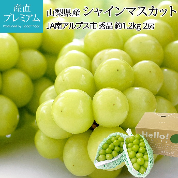 シャインマスカット秀級品 山下屋荘介 シャインマスカット 秀品 2房 約1.2キロ ＼最安値に