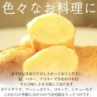 じゃがいも 今金男爵 約10kg 北海道産<br>【男爵いも いまかね男爵