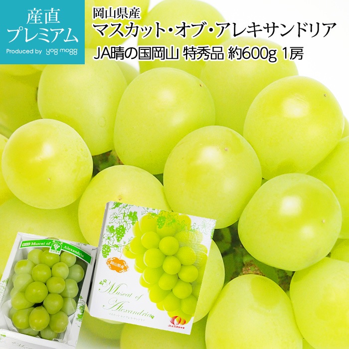 マスカット・オブ・アレキサンドリア 特秀品 約600g 1房 岡山県産<br