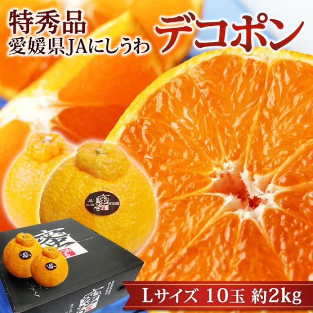 フルーツ,みかん・柑橘類,デコポン・不知火 | 高級フルーツ(高級果物