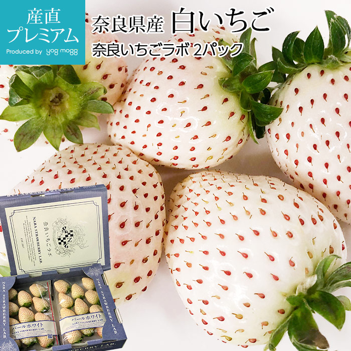 ������ �ѡ���ۥ磻�� ����ɱ 2�ѥå� ���ɸ��� ����ľ��<br>�ڥ����� �� ���󤸤�Ҥ� ���ȥ��٥꡼ �򤤤��� �򥤥��� ������ �ե롼�� ��ʪ ���ե� £�� �ץ쥼��� ��ˤ��ۡڻ�ľ�ץ�ߥ����