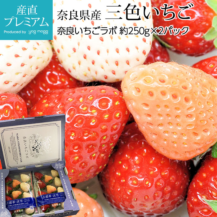 ������ ���������� 2�ѥå� ���ɸ��� ����ľ���ڥ����� �� ���ȥ��٥꡼ �򤤤��� �򥤥��� ������ ������� �ե롼�� ��ʪ ���ե� £�� �ץ쥼��� ��ˤ��ۡڻ�ľ�ץ�ߥ����