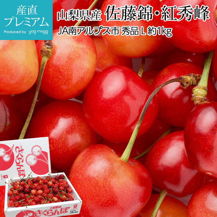 �������� ��ƣ�� �Ƚ��� ���� L������ ��1kg ���������ڥ������� ���Ȥ��ˤ��� �٤ˤ��夦�ۤ� ���� ������ �ե롼�� ��ʪ ���ե� £�� �ץ쥼��� ��ˤ� �л��ˤ��ۡڻ�ľ�ץ�ߥ����