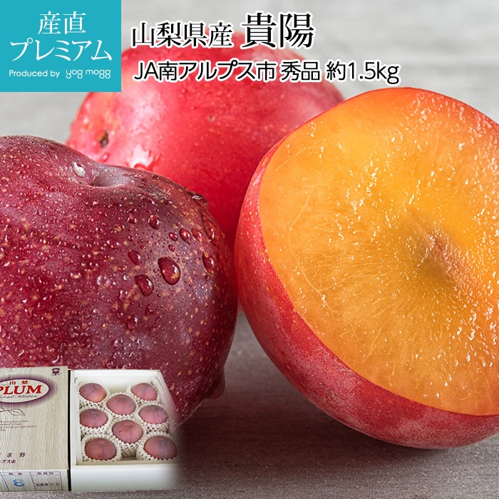 ץ   1.5kg 79  Ȣڤ褦     ե롼 ʪ ե £ ץ쥼 ˤ лˤۡڻľץߥ