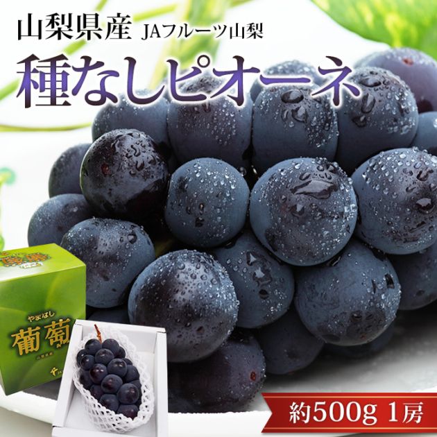 �֤ɤ� �ԥ����� ��ʤ� ��500g 1˼ �ϥ������� �������� ����ľ��<br>�ڤԤ����� �˥塼�ԥ����� ��̵�� ��ƺ �֥ɥ� �ե롼�� ���ե� £�� �ץ쥼��� ��ˤ� �л��ˤ��ۡڻ�ľ�ץ�ߥ����