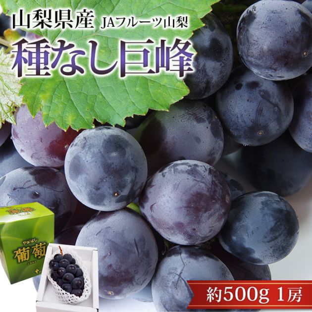 �֤ɤ� ���� ��ʤ� ��500g 1˼ �ϥ������� �������� ����ľ��<br>�ڤ���ۤ� ��̵�� ��ƺ �֥ɥ� �ե롼�� ���ե� £�� �ץ쥼��� ��ˤ� �л��ˤ��ۡڻ�ľ�ץ�ߥ����