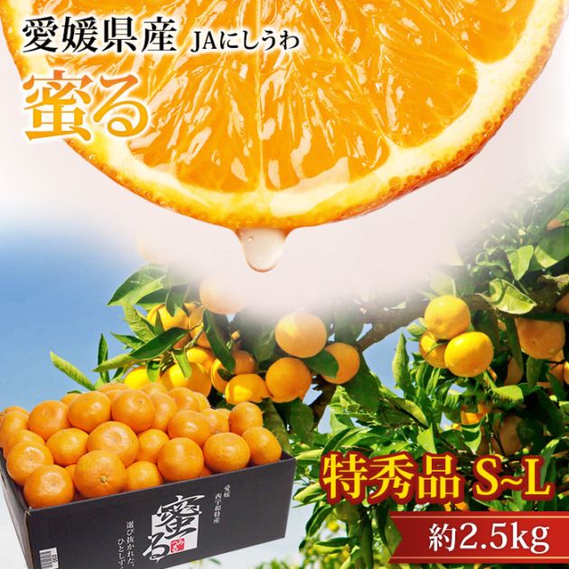 �ߤ��� ̪��ߤ��� ̪�� �ý��� ��2.5kg S��L������ 20��30�� ��ɲ���� ����ľ��<br>��̪�� �ߥ��� �ߤĤ� ������ �ե롼�� ��ʪ ���ե� £�� �ץ쥼��� ��ˤ� Ȣ�������ۡڻ�ľ�ץ�ߥ����