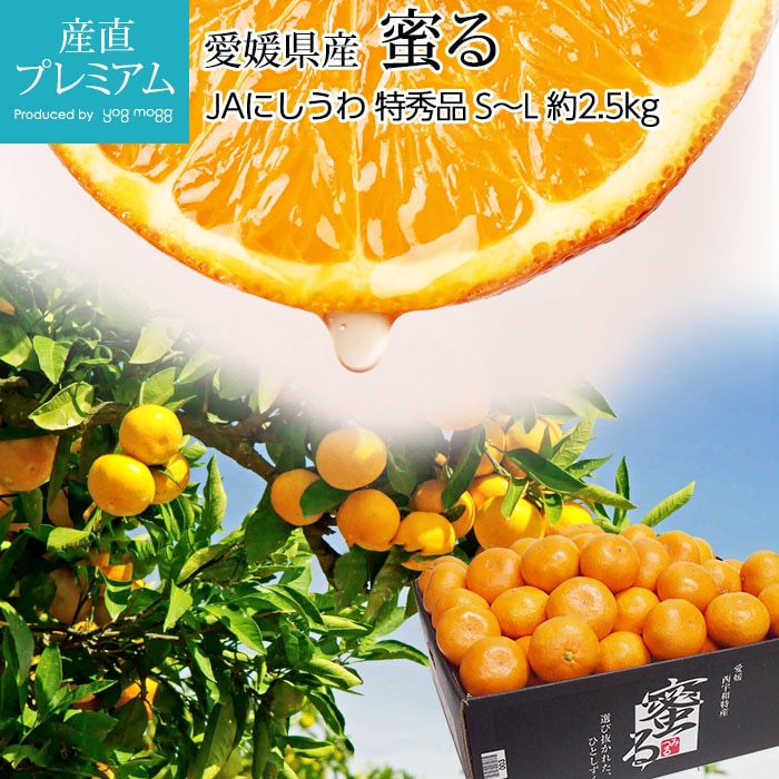 �ߤ��� ̪��ߤ��� ̪�� �ý��� ��2.5kg S��L������ 20��30�� ��ɲ���� ����ľ��<br>��̪�� �ߥ��� �ߤĤ� ������ �ե롼�� ��ʪ ���ե� £�� �ץ쥼��� ��ˤ� Ȣ�������ۡڻ�ľ�ץ�ߥ����