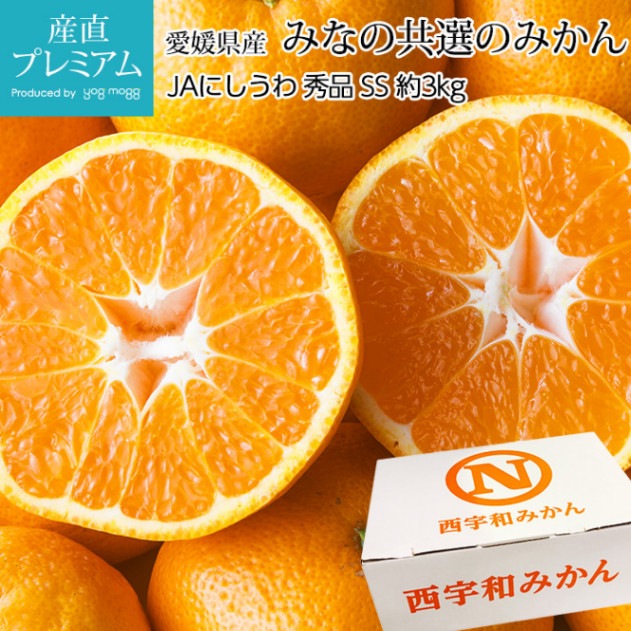 ߤ ߤʤζΤߤ  3kg  γ SS 40 ɲ ľ̪ ߥ  ե롼 ʪ ե £ ץ쥼 ˤ Ȣۡڻľץߥ