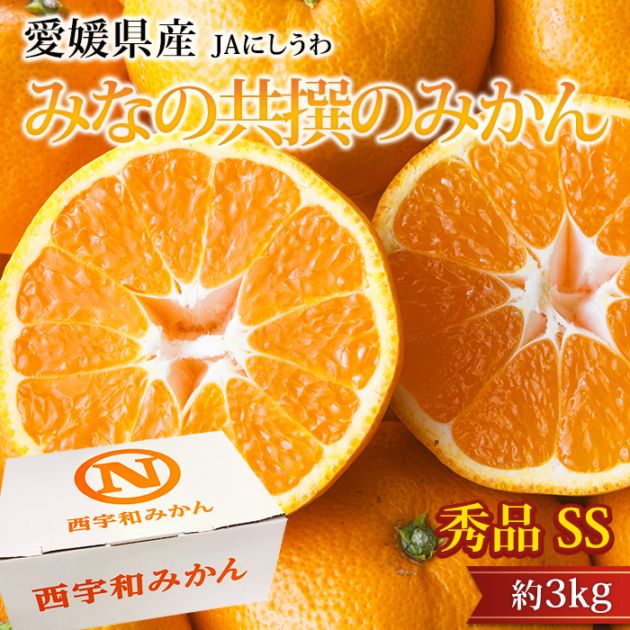 �ߤ��� �ߤʤζ����Τߤ��� ���� ��3kg ���� ��γ SS������ ��40�� ��ɲ���� ����ľ��<br>��̪�� �ߥ��� ������ �ե롼�� ��ʪ ���ե� £�� �ץ쥼��� ��ˤ� Ȣ�������ۡڻ�ľ�ץ�ߥ����