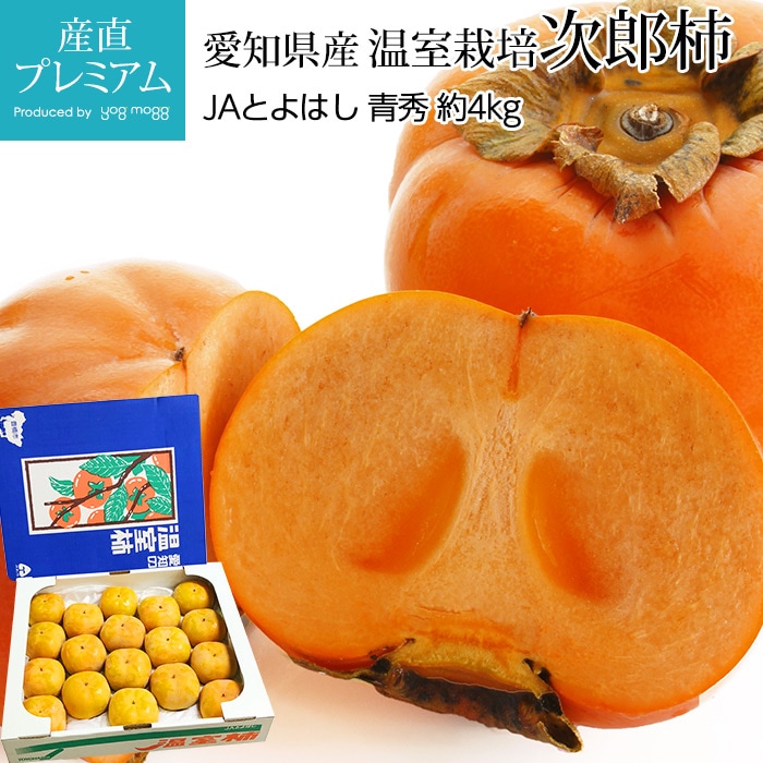 �� ��Ϻ�� �Ľ� ��4kg 16��18�� �������� ���θ����ڤ��� ���� ���������� �������� �ϥ��� �ե롼�� ��ʪ ���ե� £�� �ץ쥼��� ��ˤ� �л��ˤ��ۡڻ�ľ�ץ�ߥ����