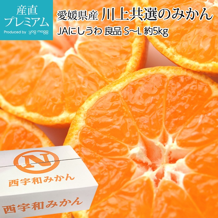 �ߤ��� ��嶦���Τߤ��� ���� ��5kg S��L������ 40��60�� ��ɲ���� ����ľ���ڥߥ��� ̪�� ������ �ե롼�� ��ʪ ���ե� £�� �ץ쥼��� ��ˤ� Ȣ�������ۡڻ�ľ�ץ�ߥ����