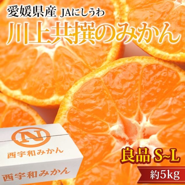 �ߤ��� ��嶦���Τߤ��� ���� ��5kg S��L������ 40��60�� ��ɲ���� ����ľ��<br>�ڥߥ��� ̪�� ������ �ե롼�� ��ʪ ���ե� £�� �ץ쥼��� ��ˤ� Ȣ�������ۡڻ�ľ�ץ�ߥ����