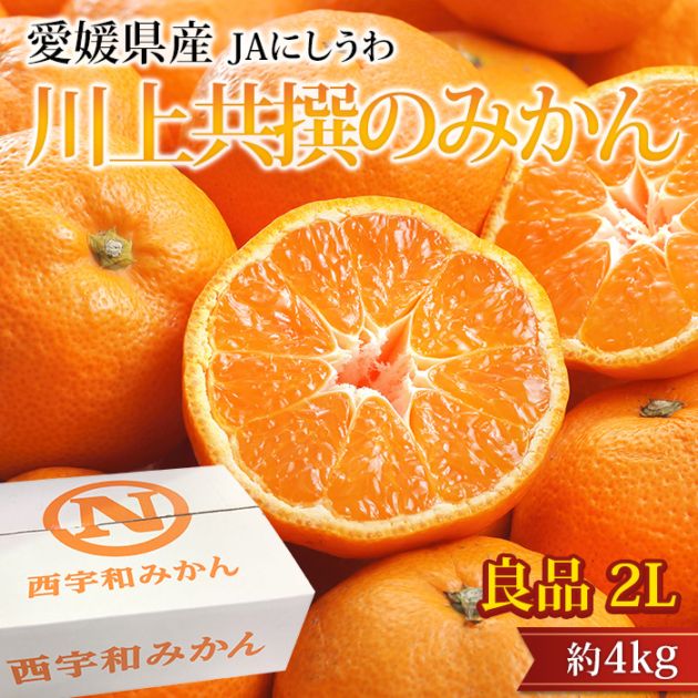 �ߤ��� ��嶦���Τߤ��� ���� ��4kg 2L������ 25��35�� ��ɲ���� ����ľ��<br>�ڥߥ��� ̪�� ������ �ե롼�� ��ʪ ���ե� £�� �ץ쥼��� ��ˤ� Ȣ�������ۡڻ�ľ�ץ�ߥ����