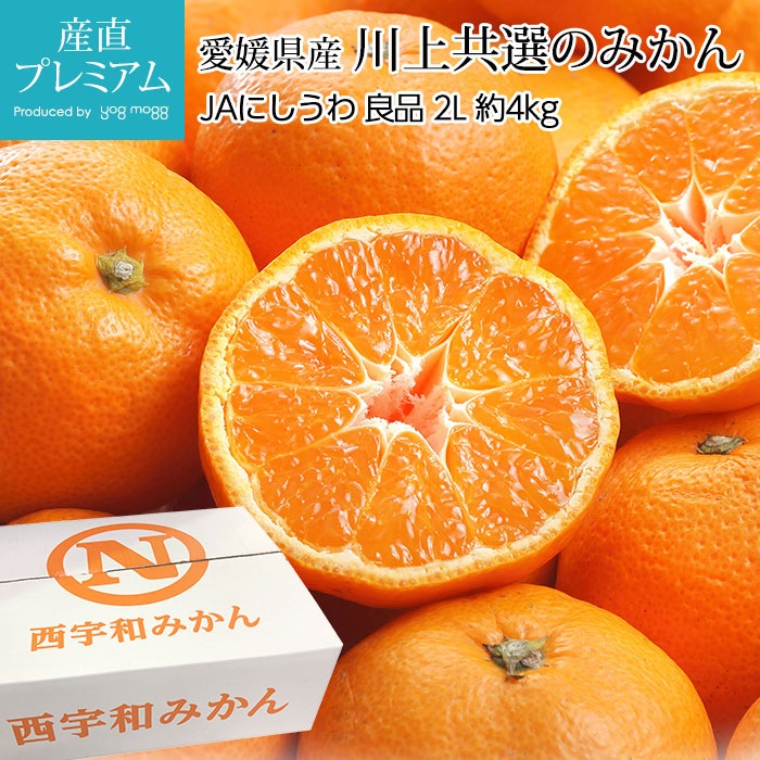 �ߤ��� ��嶦���Τߤ��� ���� ��4kg 2L������ 25��35�� ��ɲ���� ����ľ��<br>�ڥߥ��� ̪�� ������ �ե롼�� ��ʪ ���ե� £�� �ץ쥼��� ��ˤ� Ȣ�������ۡڻ�ľ�ץ�ߥ����