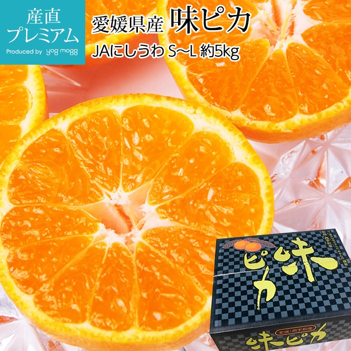 �ߤ��� ̣�ԥ� ��嶦���Τߤ��� ��5kg S��L������ 40��60�� ��ɲ���� ����ľ���ڥߥ��� ̪�� ������ �ե롼�� ��ʪ ���ե� £�� �ץ쥼��� ��ˤ� Ȣ�������ۡڻ�ľ�ץ�ߥ����