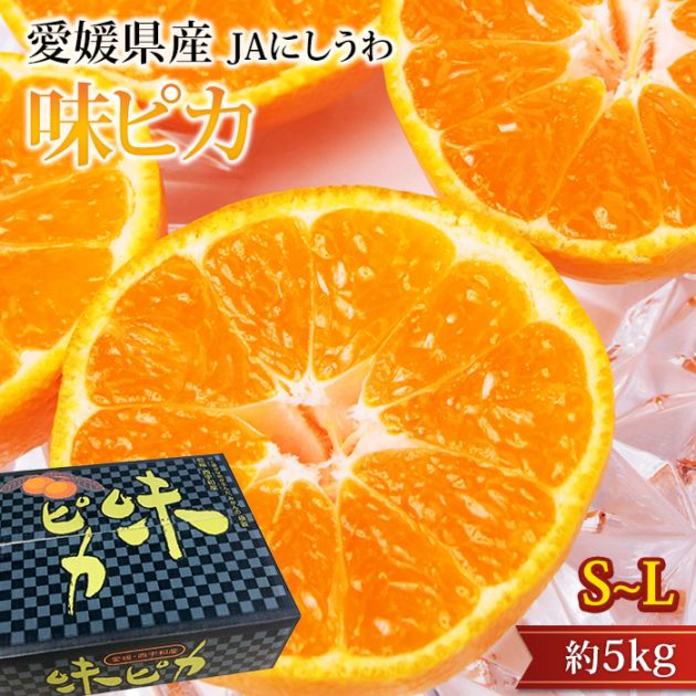 �ߤ��� ̣�ԥ� ��嶦���Τߤ��� ��5kg S��L������ 40��60�� ��ɲ���� ����ľ��<br>�ڥߥ��� ̪�� ������ �ե롼�� ��ʪ ���ե� £�� �ץ쥼��� ��ˤ� Ȣ�������ۡڻ�ľ�ץ�ߥ����