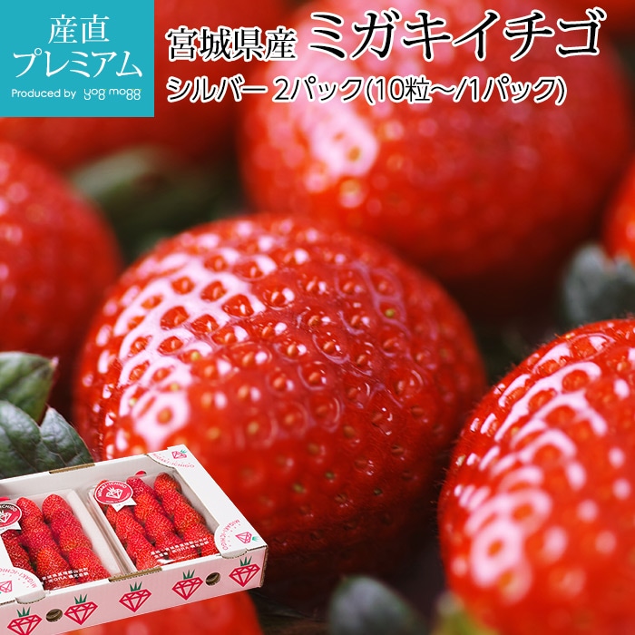 ������ �ߥ��������� ����С� 2�ѥå� �ܾ븩�� ����ľ��<br>�ڥ����� �� ���ȥ��٥꡼ ������ �ե롼�� ��ʪ ���ե� £�� �ץ쥼��� ��ˤ��ۡڻ�ľ�ץ�ߥ����