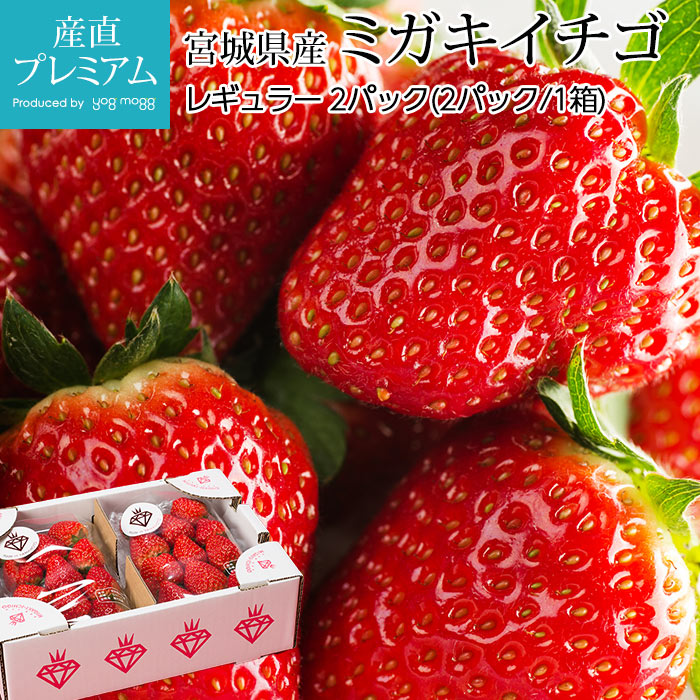 ������ �ߥ��������� �쥮��顼 2�ѥå� �ܾ븩�� ����ľ��<br>�ڥ����� �� ���ȥ��٥꡼ ������ �ե롼�� ��ʪ ���ե� ������ �ץ쥼��� ��ˤ��ۡڻ�ľ�ץ�ߥ����