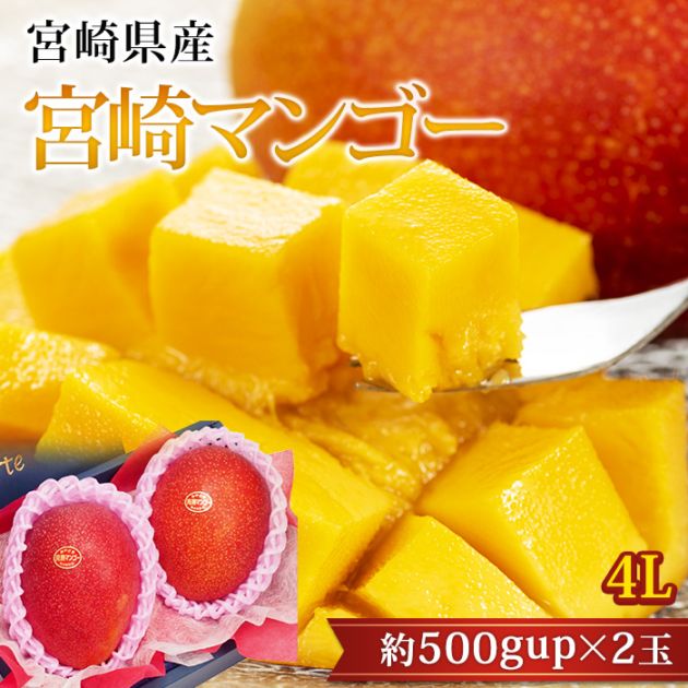 ベリーです‼️宮崎県産完熟マンゴー4Lサイズ2玉① 太陽のタマゴ 4L×2玉 化粧箱入｜宮崎マンゴーの最高峰 – ジャパン