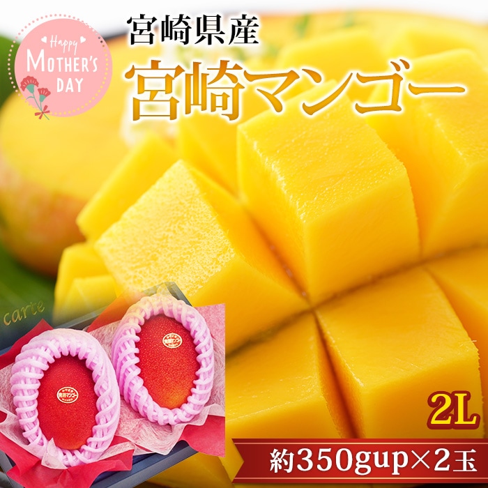 ����� ���ե� ���ϵܺ�ޥ󥴡� 2L������ 2�� �ܺ긩��<br>�ڥޥ󥴡� �ޤ󤴡� ������ �ե롼�� ��ʪ ����� ���ե� £�� �ץ쥼��� �������ġۡڻ�ľ�ץ�ߥ����