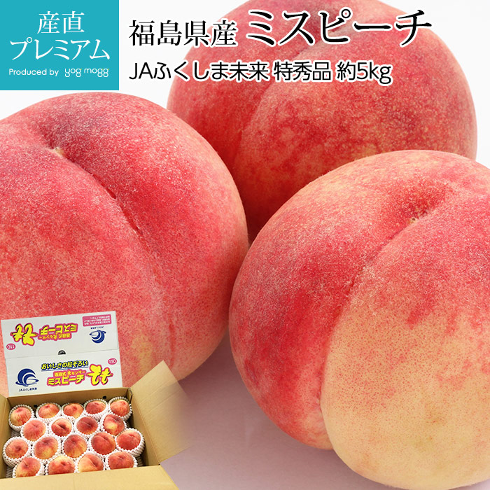  ߥԡ ý 5kg 1322 ʡ縩ڥ  ԡ ԡ Ĥ  ޤɤ  ե롼 ʪ ե £ ץ쥼 ˤۡڻľץߥ