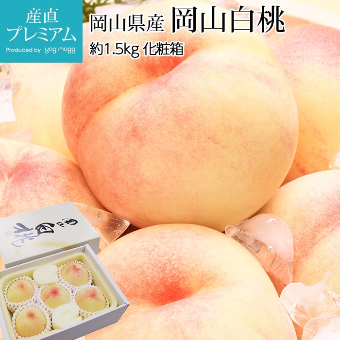   1.5kg 56 ڥ  ԡ ԡ ϤȤ   ե롼 ʪ ե £ ץ쥼 ˤۡڻľץߥ