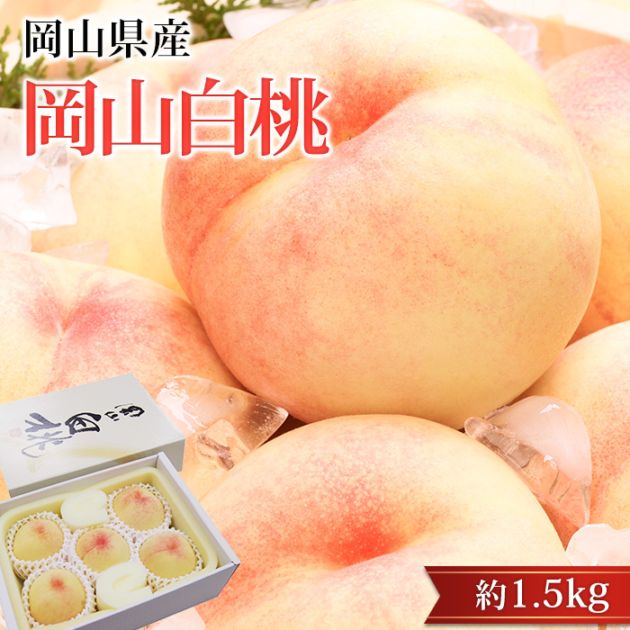�� �������� ��1.5kg 5��6�� ��������<br>�ڥ�� ��� �ԡ��� �ԡ��� �Ϥ��Ȥ� ���� ������ �ե롼�� ��ʪ ���ե� £�� �ץ쥼��� ��ˤ��ۡڻ�ľ�ץ�ߥ����