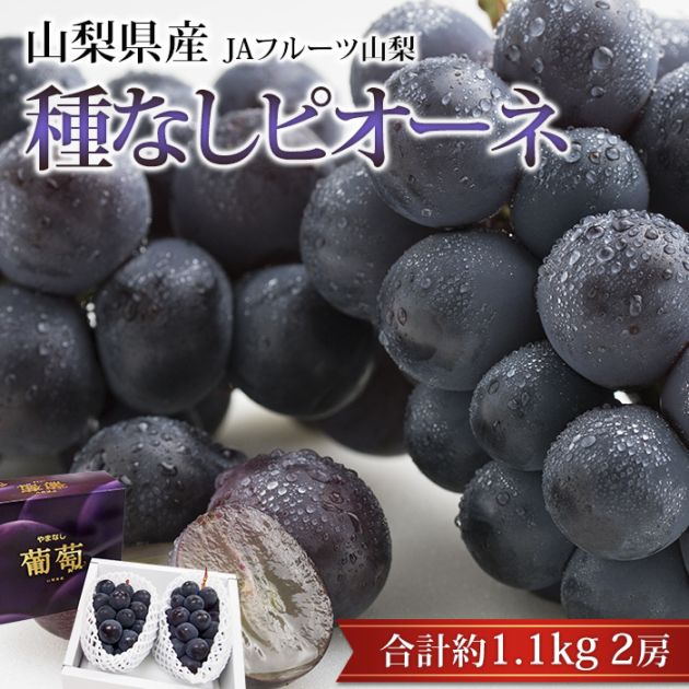 �֤ɤ� �ԥ����� ��ʤ� ��1.1kg 2˼ Ϫ�Ϻ��� �������� ����ľ��<br>�ڤԤ����� �˥塼�ԥ����� ��̵�� ��ƺ �֥ɥ� �ե롼�� ���ե� £�� �ץ쥼��� ��ˤ� �л��ˤ��ۡڻ�ľ�ץ�ߥ����