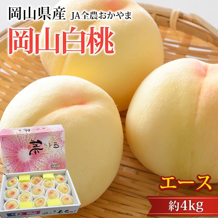 �� �������� ������ ��4kg 11��14�� ��������<br>�ڥ�� ��� �ԡ��� �ԡ��� �Ϥ��Ȥ� ���� ������ �ե롼�� ��ʪ ���ե� £�� �ץ쥼��� ��ˤ��ۡڻ�ľ�ץ�ߥ����
