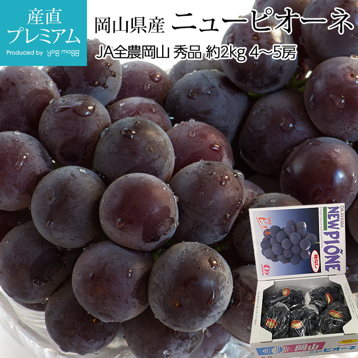 ぶどう ニューピオーネ 種なし 秀品 約2kg 4～5房 岡山県産<br