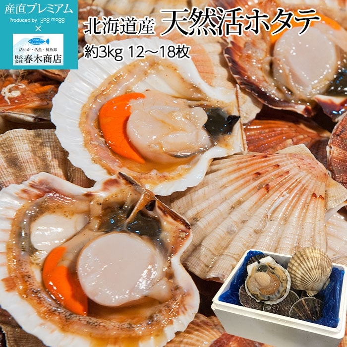 スキャロップパール 真珠 スキャロップパール 約4mm スキャロップ