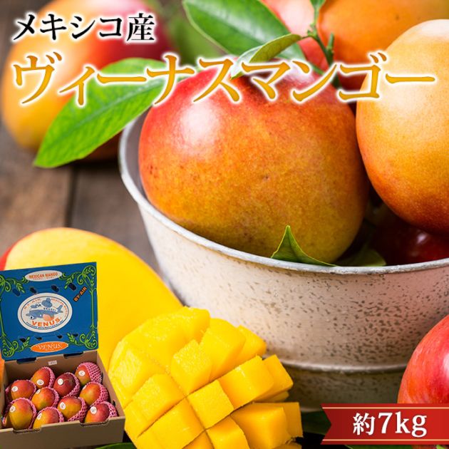 �ޥ󥴡� �������ʥ��ޥ󥴡� ��7kg 10��14�� �ᥭ�������ڤޤ󤴡� ��� ������ �ե롼�� ��ʪ ���ե� £�� �ץ쥼��� £��ʪ�ۡڻ�ľ�ץ�ߥ����