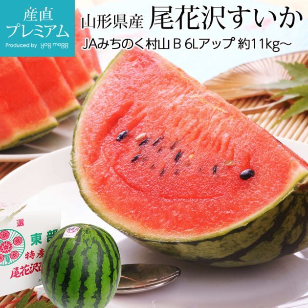 ������ ������������ B 6L���å� ��11kg�� 1�� ���������ڥ����� ���Фʤ��魯���� ������ �ե롼�� ���ե� ��ʪ £�� �ץ쥼��� ��ˤ� �л��ˤ��ۡڻ�ľ�ץ�ߥ����