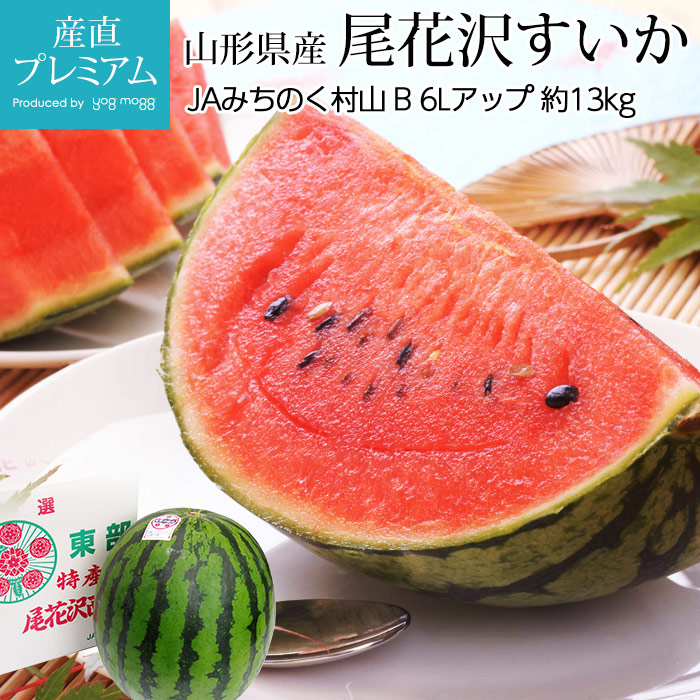   B 6Lå 13kg 1 <br>ڥ Фʤ魯  ե롼 ե ʪ £ ץ쥼 ˤ лˤۡڻľץߥ