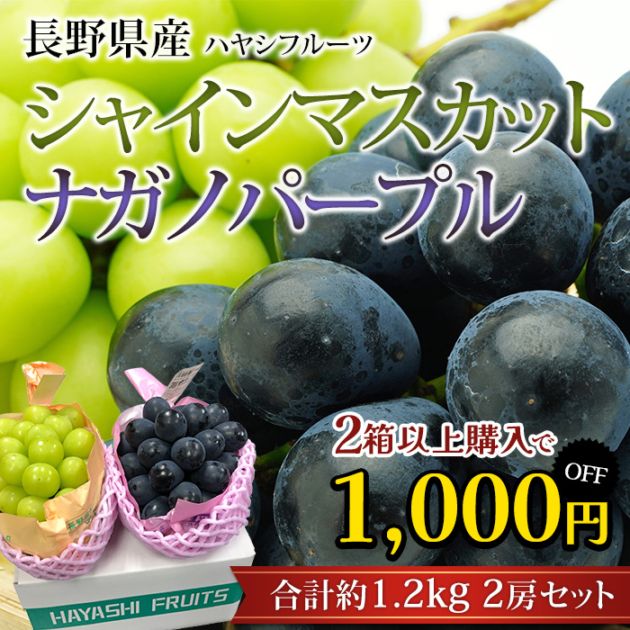 2箱以上ご購入で1,000円OFF】ぶどう シャインマスカット ナガノ