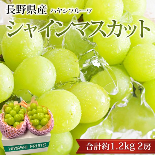�֤ɤ� ���㥤��ޥ����å� ��1.2kg 2˼ ��ë�ϥ䥷�ե롼�� Ĺ���<br>�ڥ֥ɥ� ��ƺ ���㥤�� ������ ��ʪ ���ե� £�� �ץ쥼��� ��ˤ��ۡڻ�ľ�ץ�ߥ����