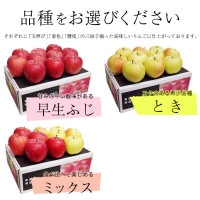 りんご様確認専用ページ❷ LC-4N 回転センタ(LC-N形) 1個 NSK(日本精工) 【通販モノタロウ】